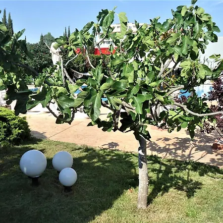 студио до кики бийч Appartement *