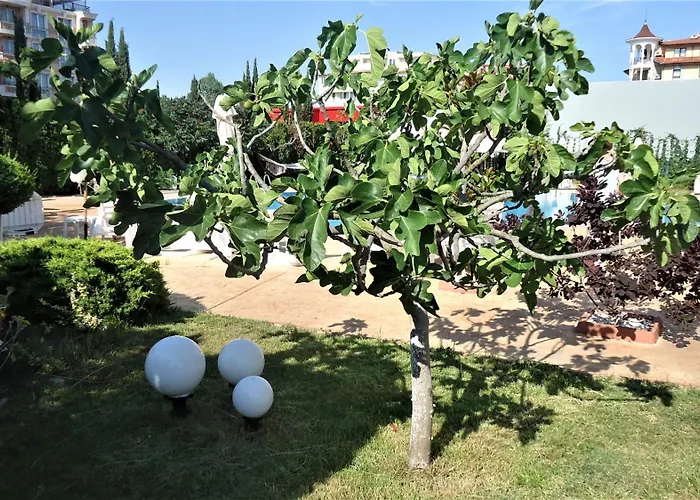 студио до кики бийч 公寓 *